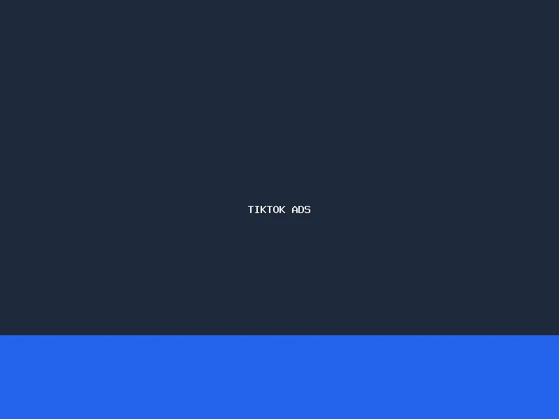 TikTok Ads